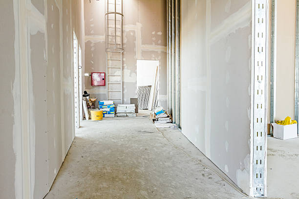 Best Crawl Space Mold Remediation  in Hamburg, AR
