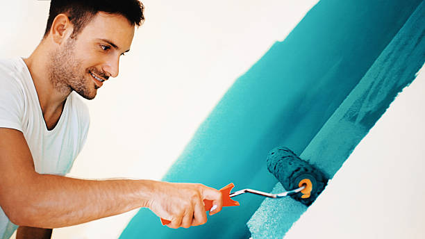 Best Attic Mold Removal  in Hamburg, AR