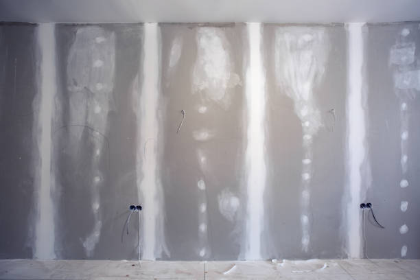 Trusted Hamburg, AR Mold Removal Experts